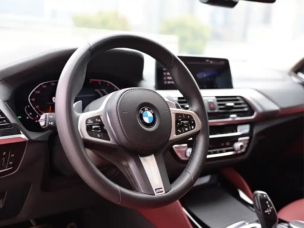 BMW X4 2021 из CN, фото 4