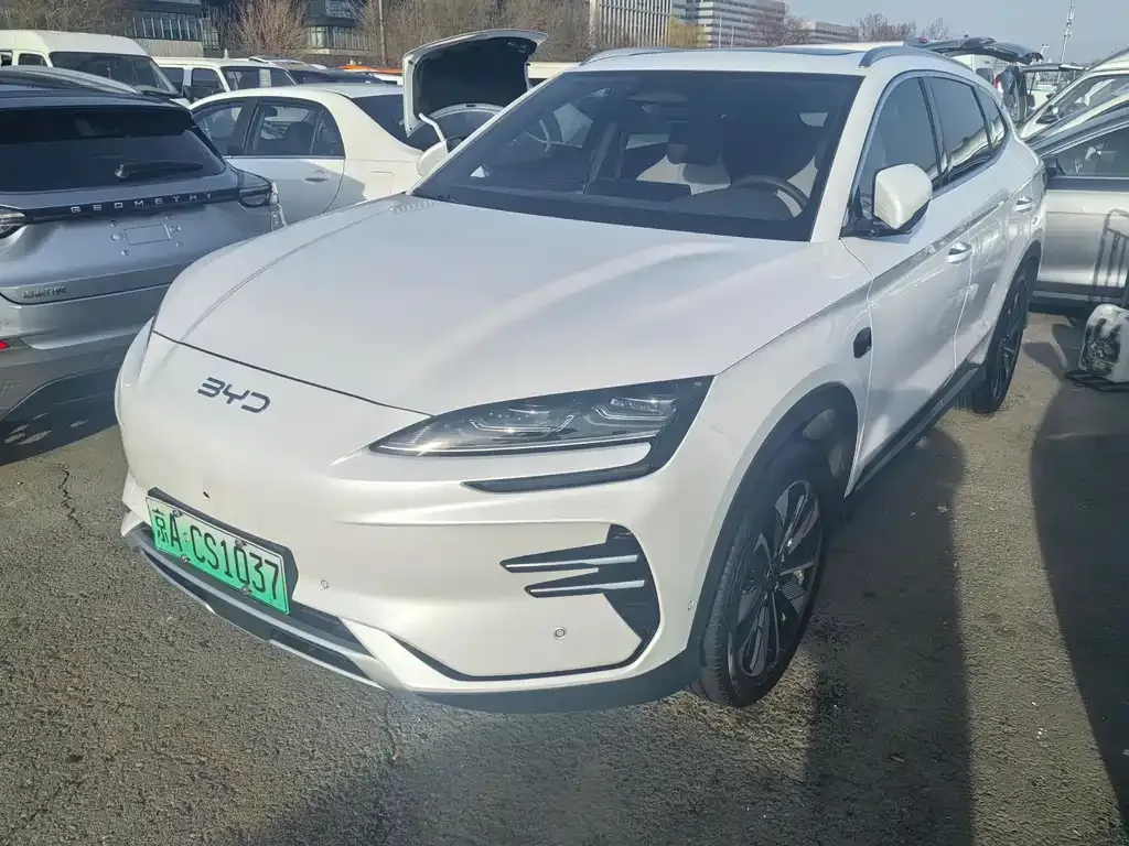 BYD PLUS New Energy — фото 1