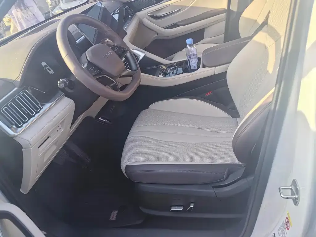 BYD PLUS New Energy — фото 10