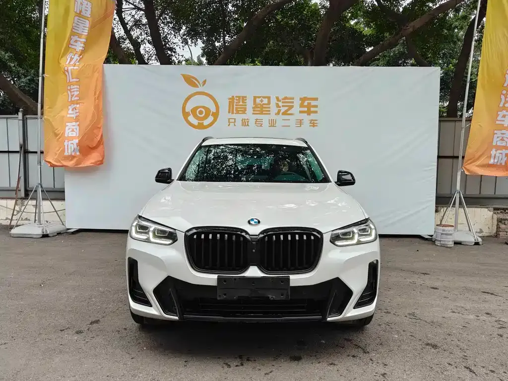 BMW X3 2022 из CN, фото 10