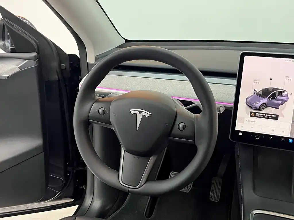 Tesla Model Y — фото 8