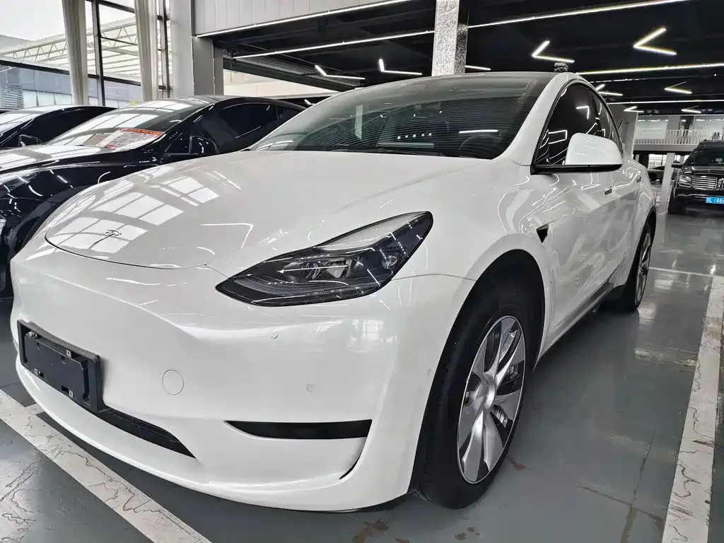 Tesla Model Y — фото 9