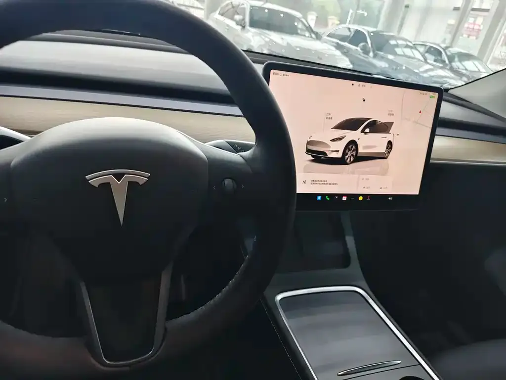 Tesla Model Y — фото 3