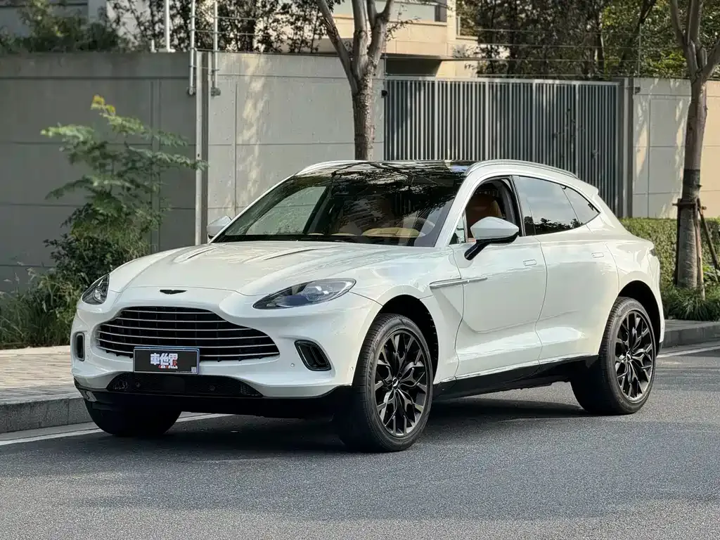Aston Martin DBX 2022 из CN, фото 1