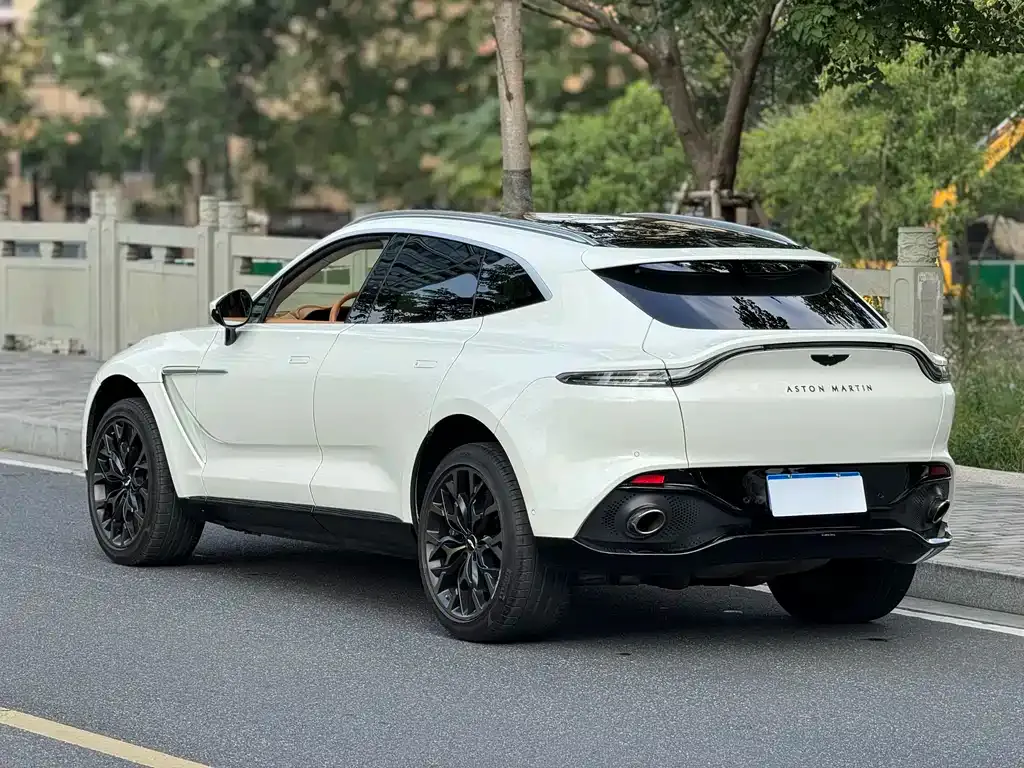 Aston Martin DBX 2022 из CN, фото 5