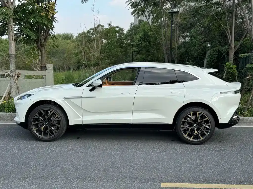 Aston Martin DBX 2022 из CN, фото 8