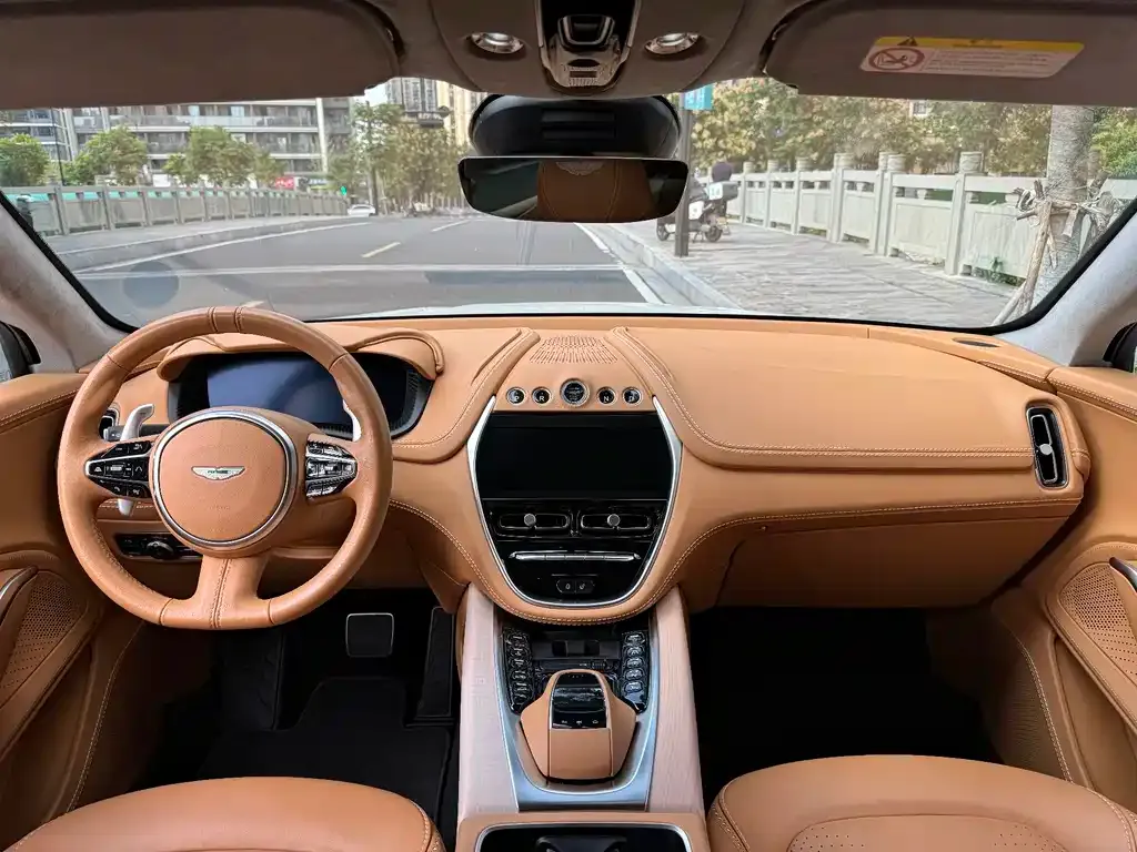 Aston Martin DBX 2022 из CN, фото 4