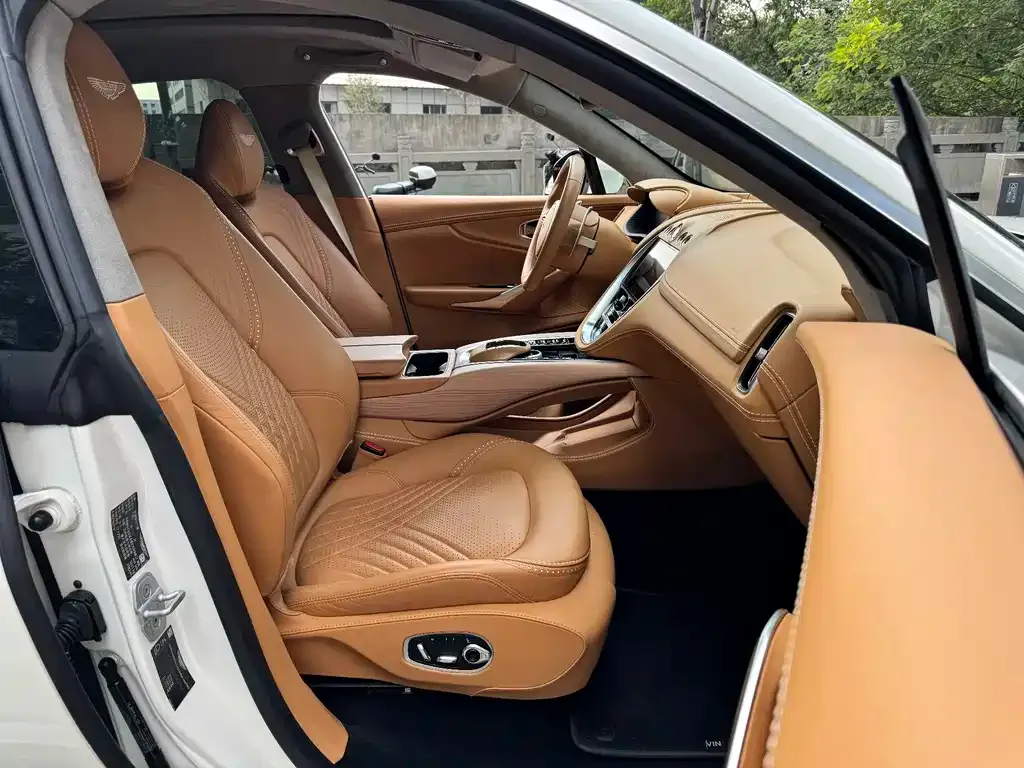 Aston Martin DBX 2022 из CN, фото 3