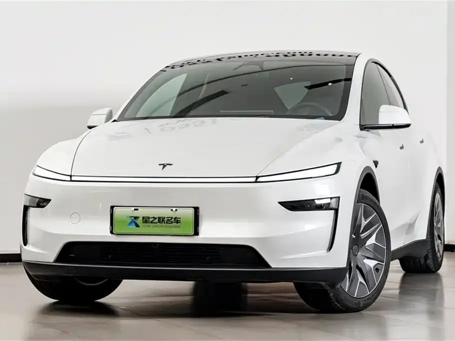 Tesla Model Y L 2026 из CN, фото 6