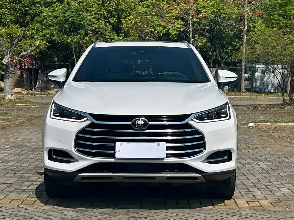BYD Tang 2021 из CN, фото 5