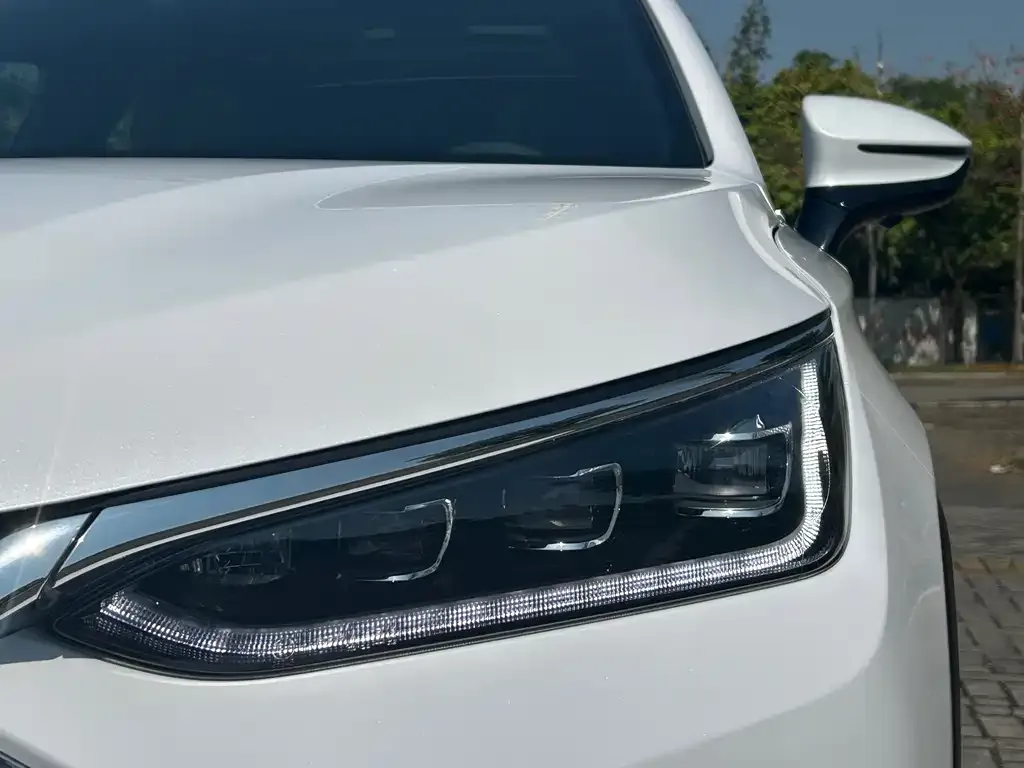 BYD Tang 2021 из CN, фото 2
