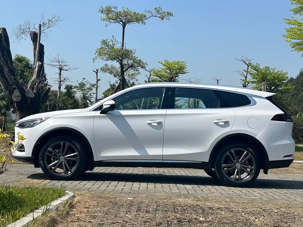 BYD Tang 2021 из CN, фото 8