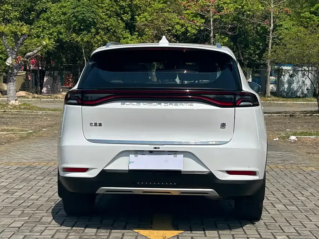 BYD Tang 2021 из CN, фото 6