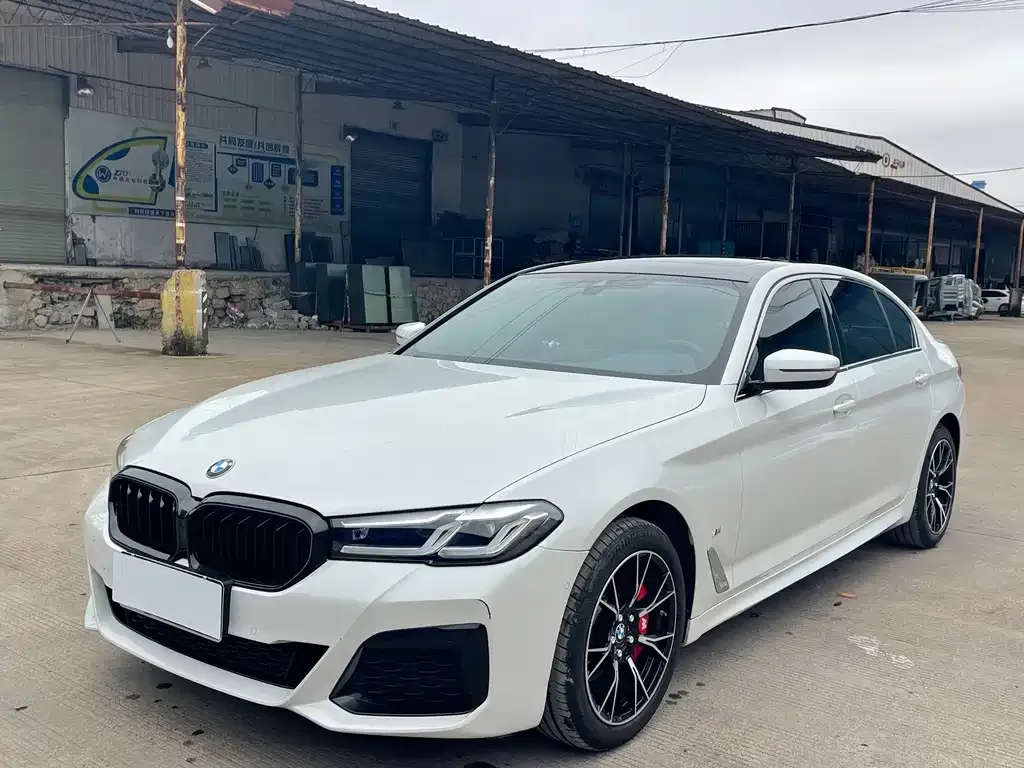 BMW 5 Series 2021 из CN, фото 1