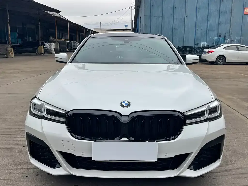 BMW 5 Series 2021 из CN, фото 3