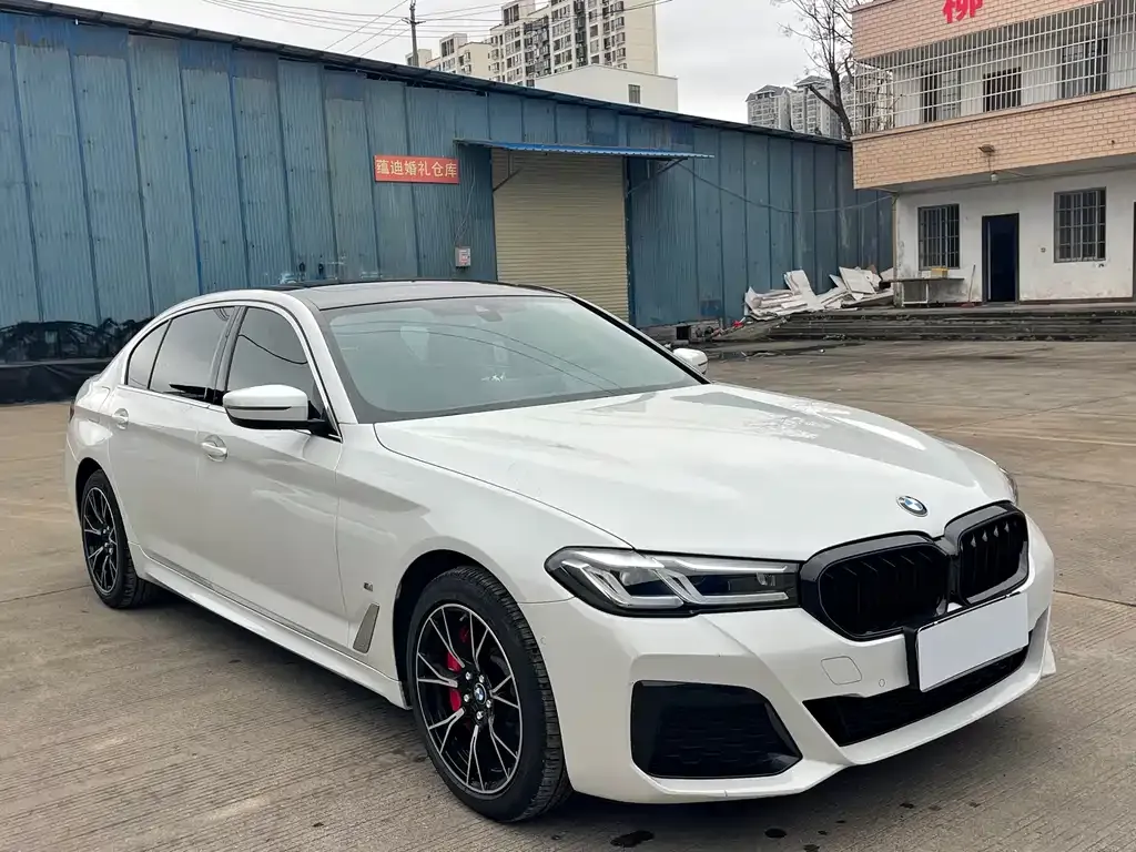 BMW 5 Series 2021 из CN, фото 7