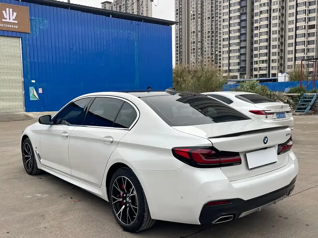 BMW 5 Series 2021 из CN, фото 9