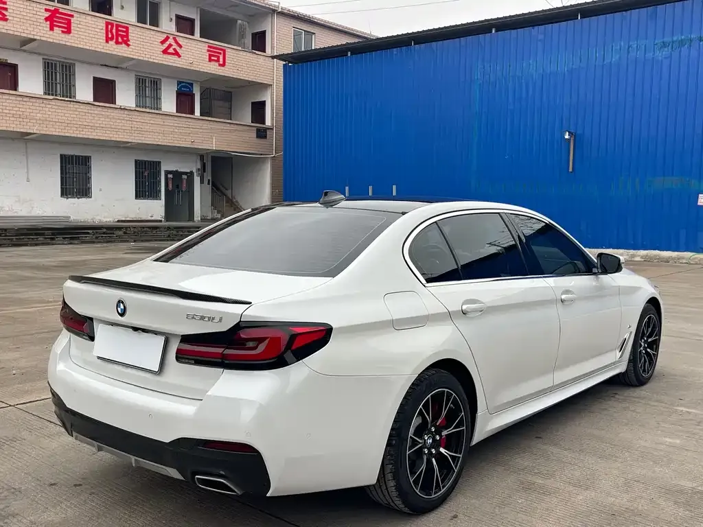 BMW 5 Series 2021 из CN, фото 6