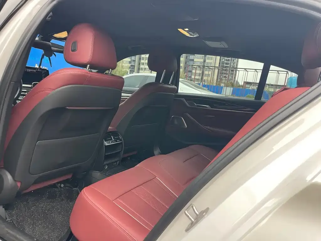 BMW 5 Series 2021 из CN, фото 4