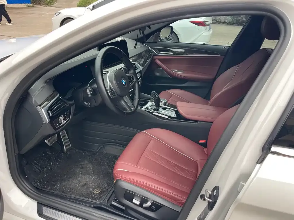 BMW 5 Series 2021 из CN, фото 8