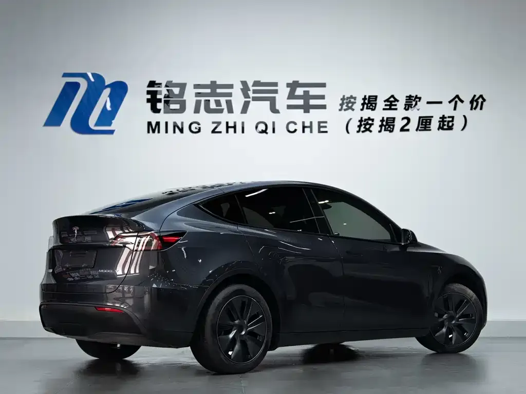 Tesla Model Y 2024 из CN, фото 10