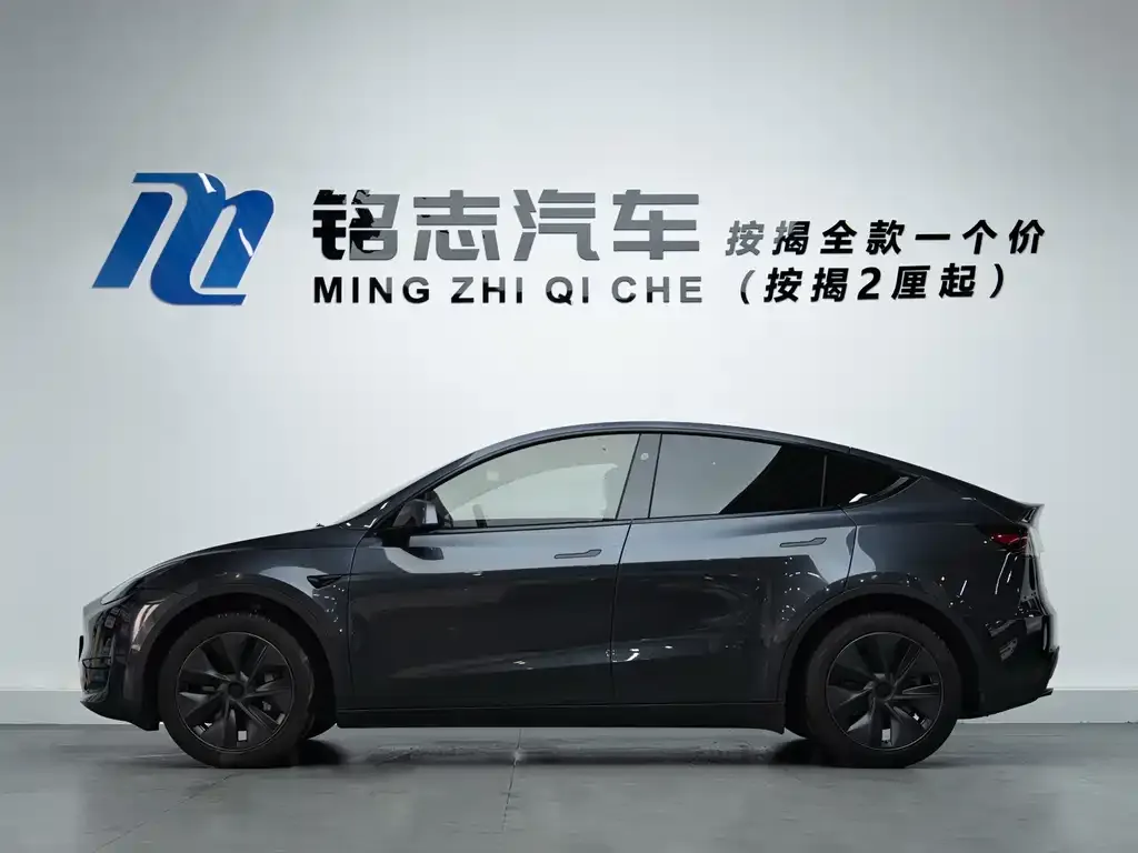 Tesla Model Y 2024 из CN, фото 6