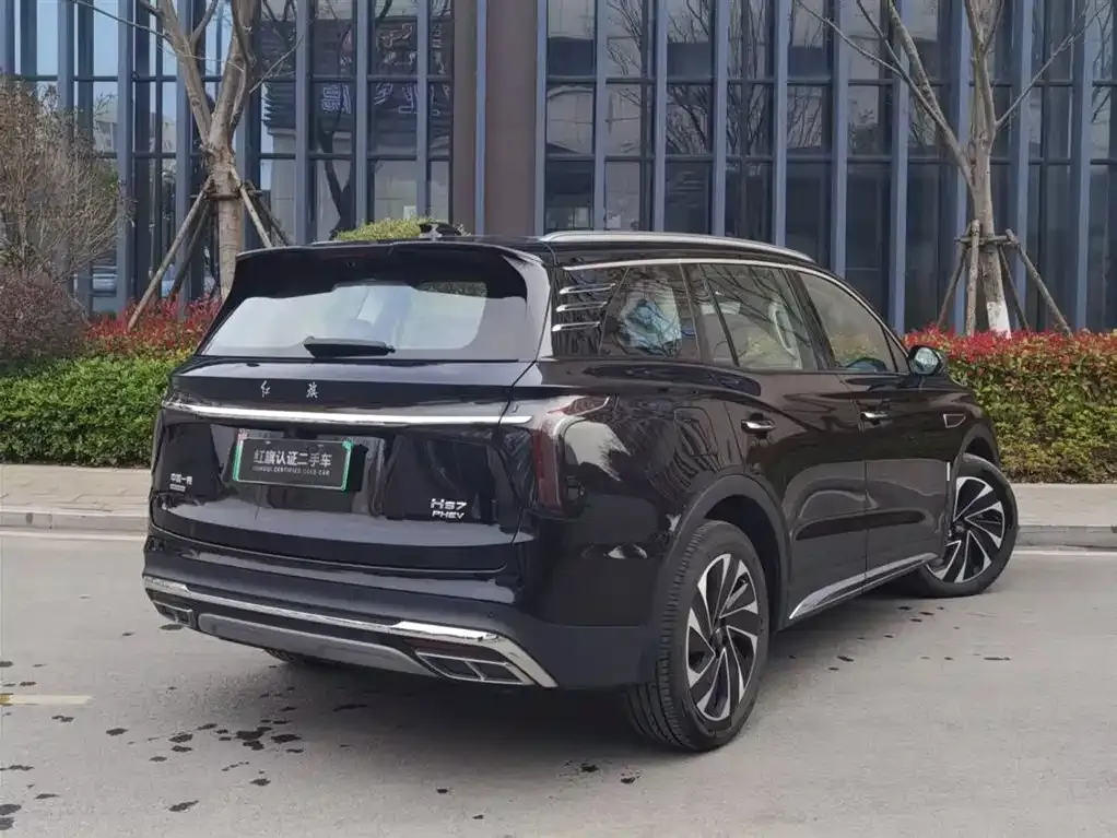 Hongqi HS7 PHEV 2024 из CN, фото 9