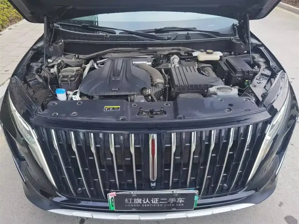 Hongqi HS7 PHEV 2024 из CN, фото 10