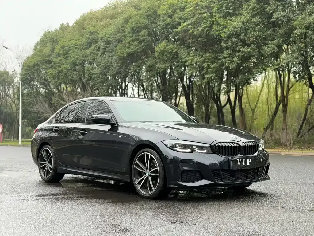BMW 3 Series 2022 из CN, фото 9