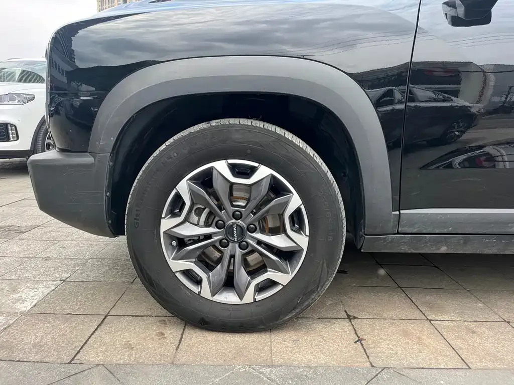 Haval Big Dog 2024 из CN, фото 10