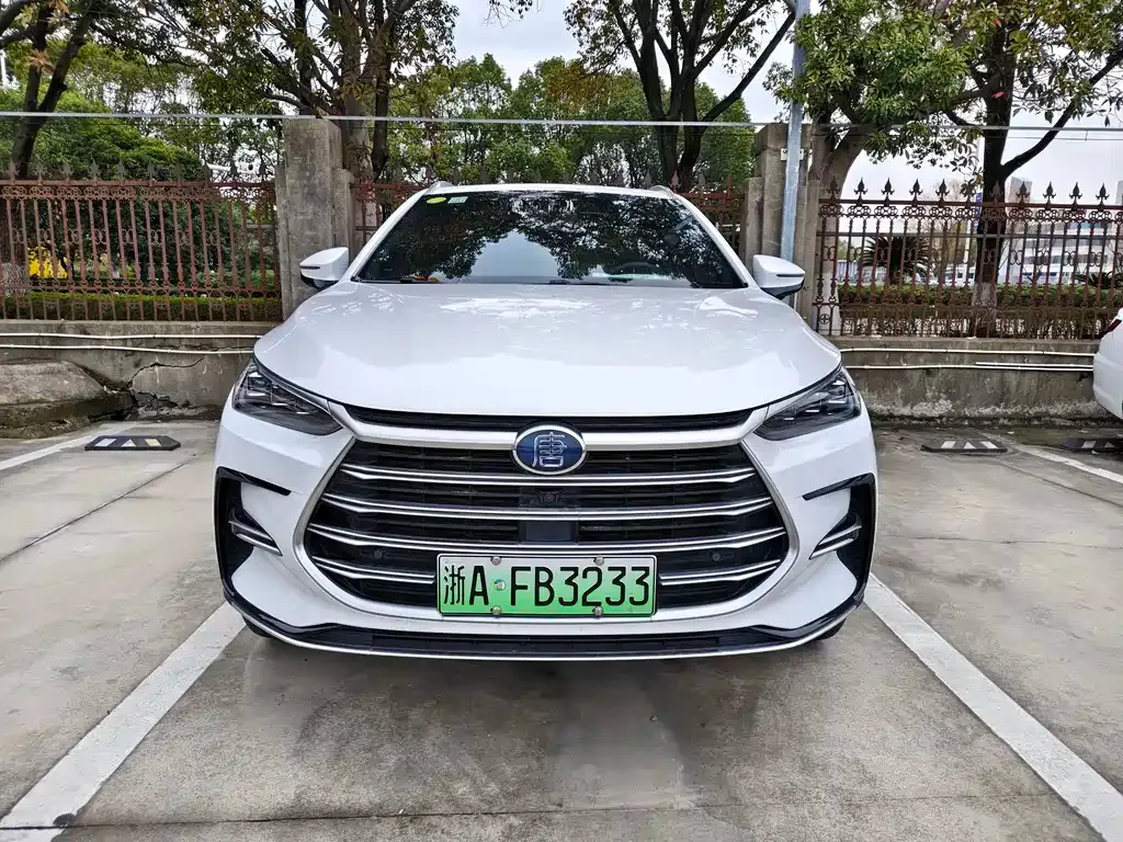 BYD Tang New Energy — фото 2