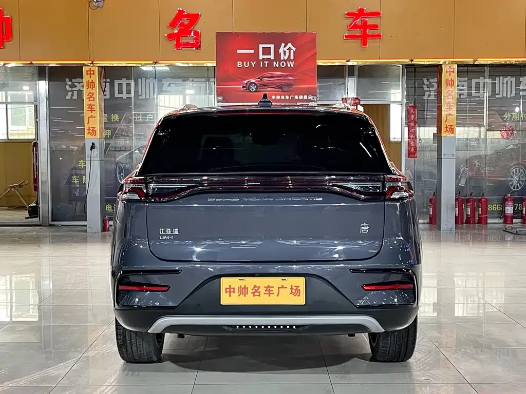 BYD Tang New Energy — фото 3