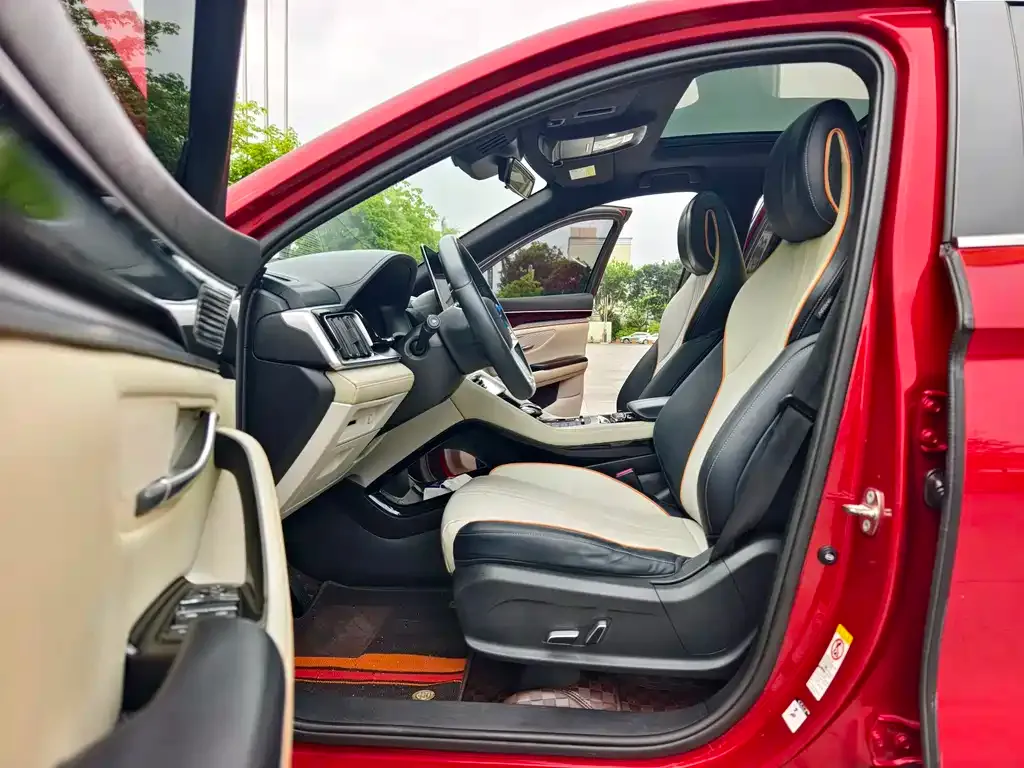 BYD PLUS New Energy — фото 2