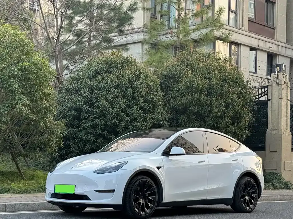 Tesla Model Y — фото 1