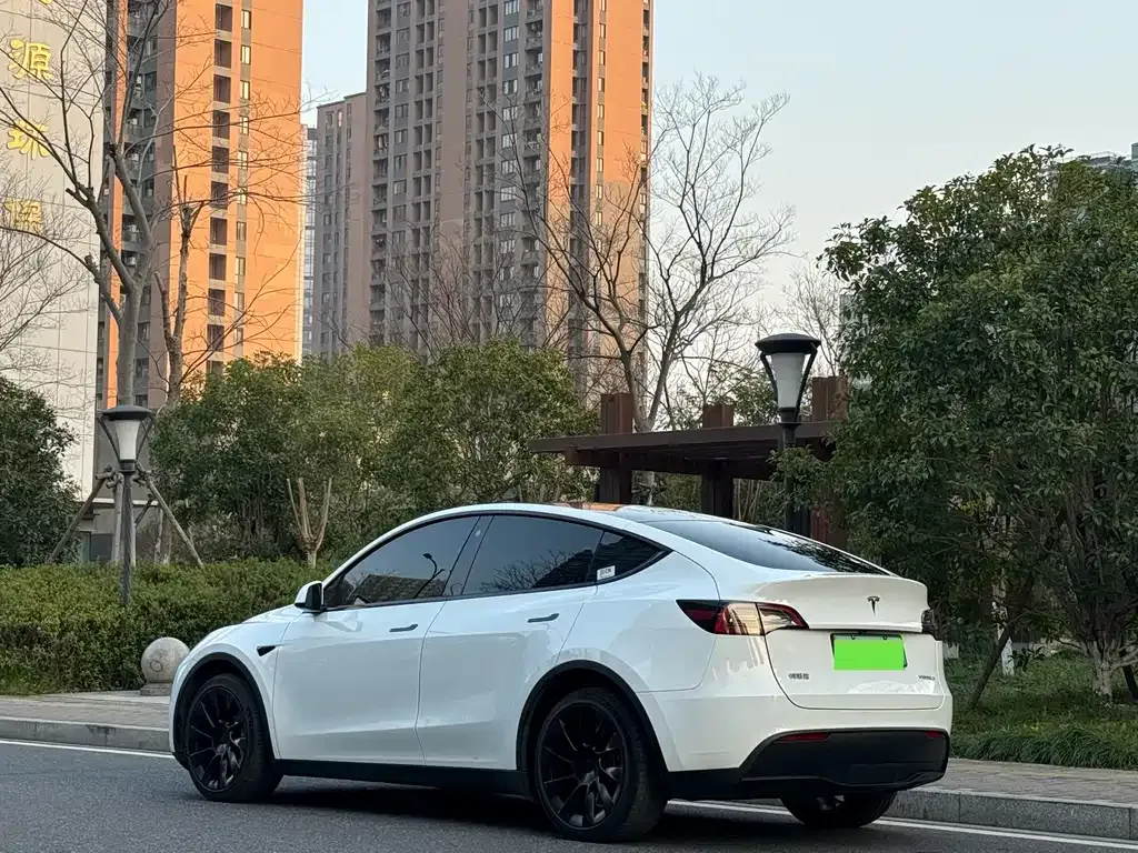 Tesla Model Y — фото 10