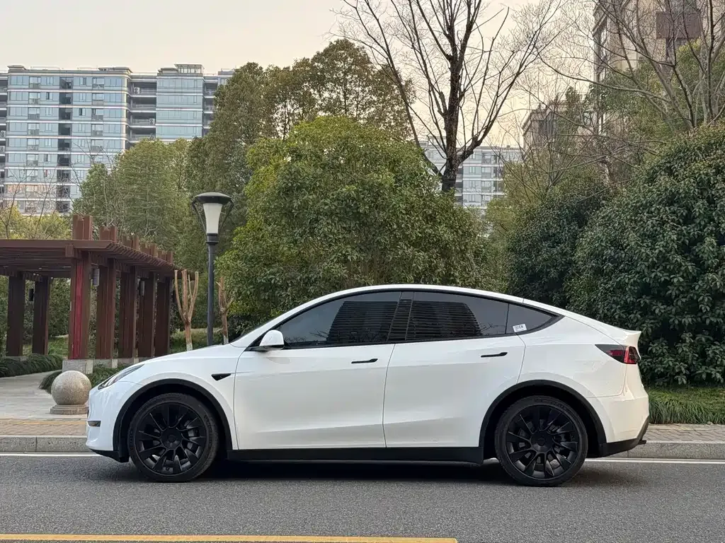 Tesla Model Y — фото 9
