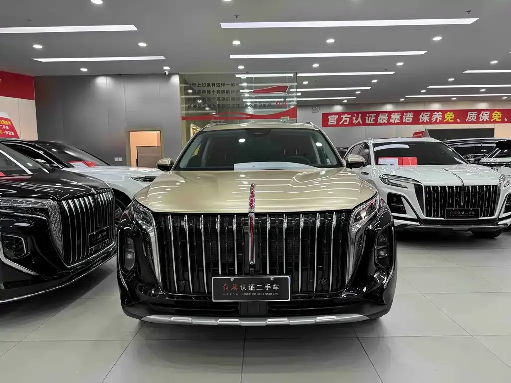 Hongqi HS7 PHEV — фото 2