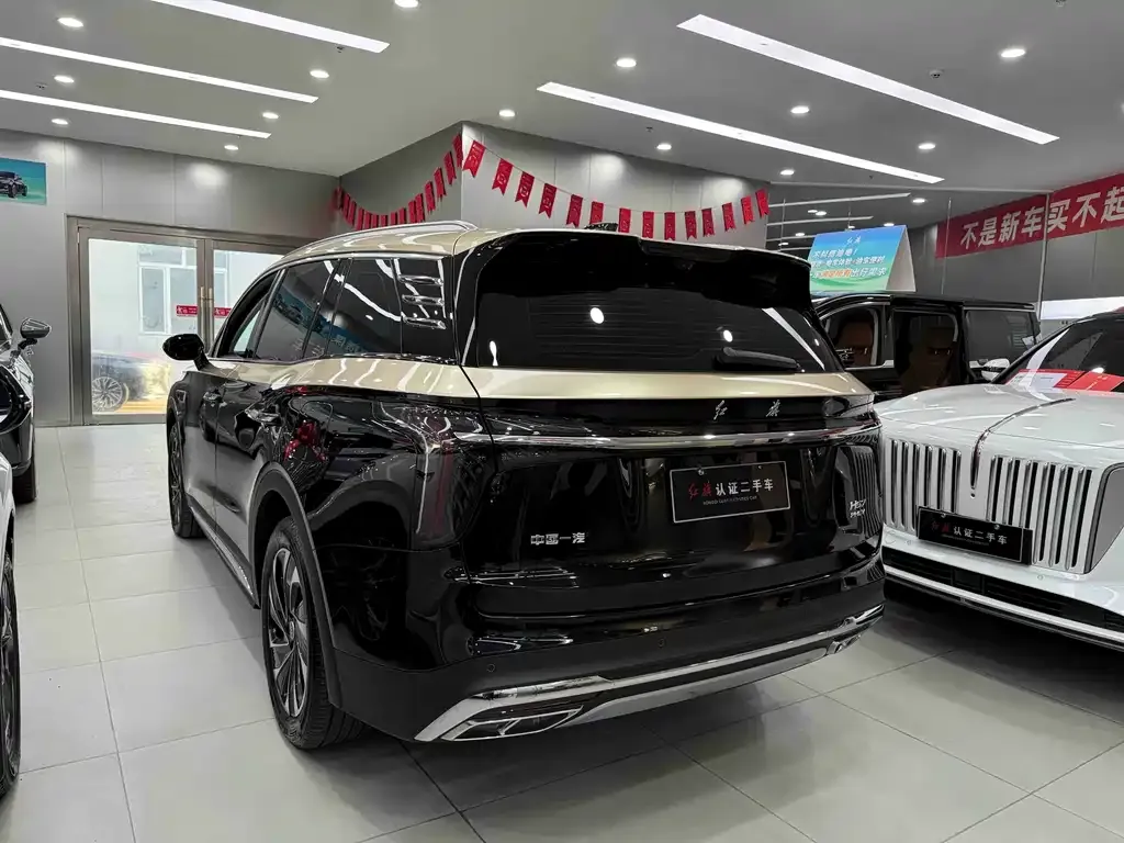 Hongqi HS7 PHEV — фото 8