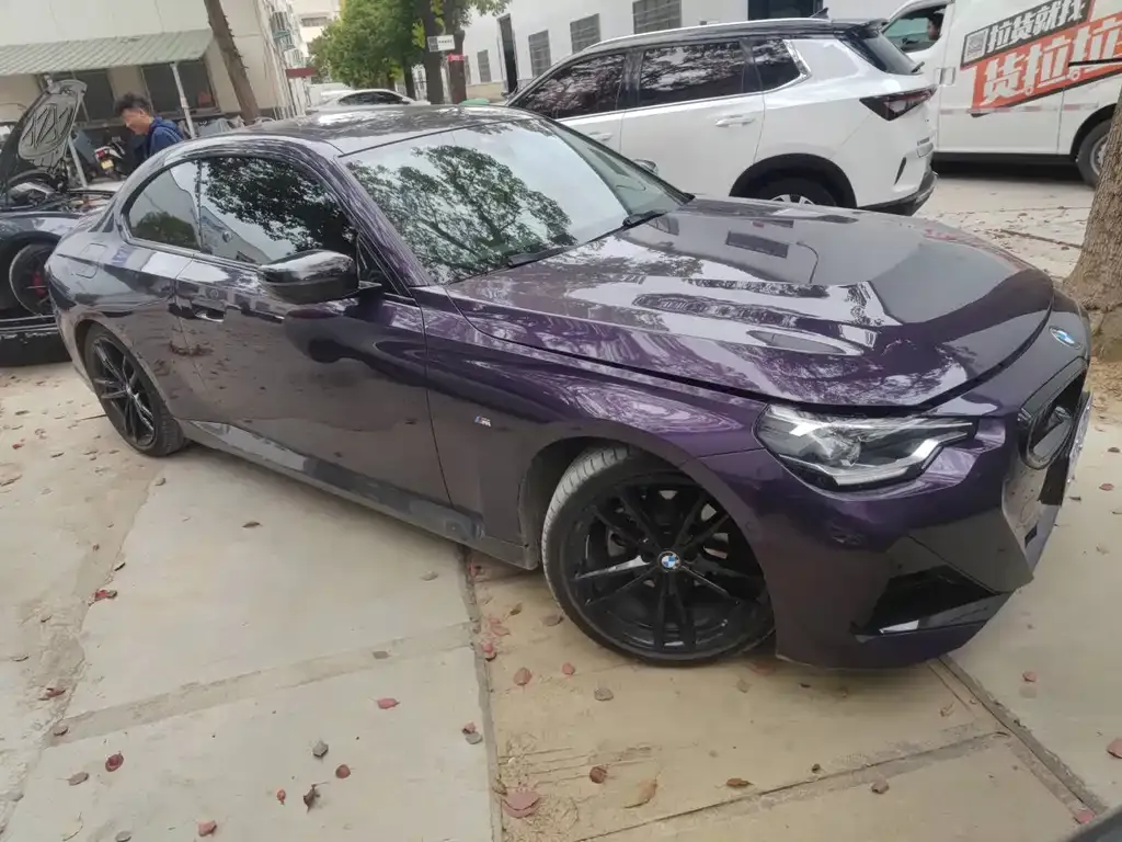 BMW 2 Series (Import) 2022 из CN, фото 9