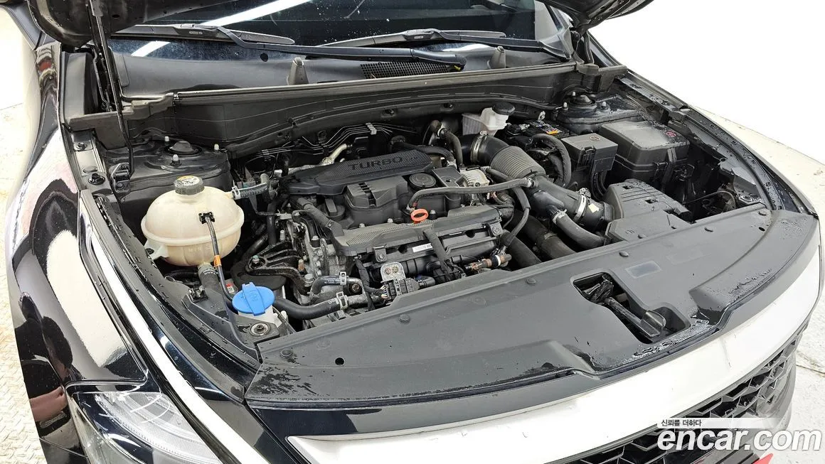 Kia Sportage — фото 5