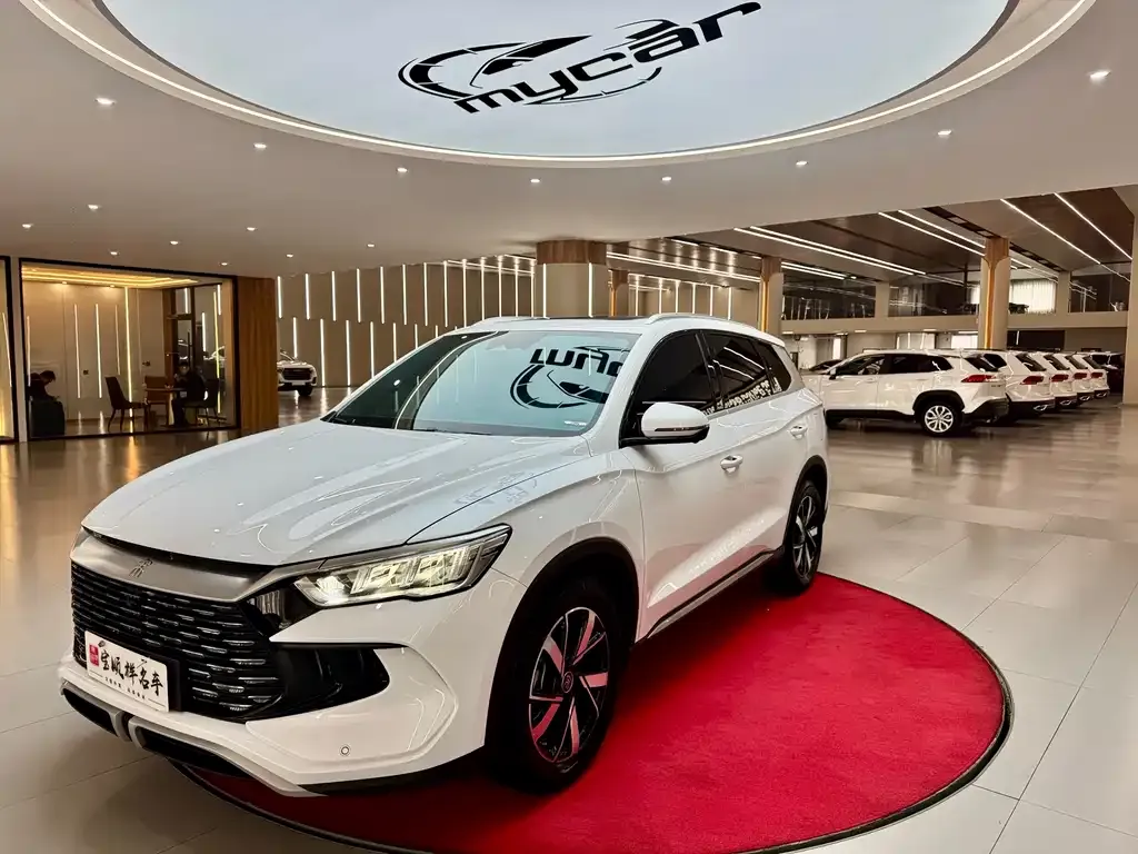BYD Pro New Energy — фото 1