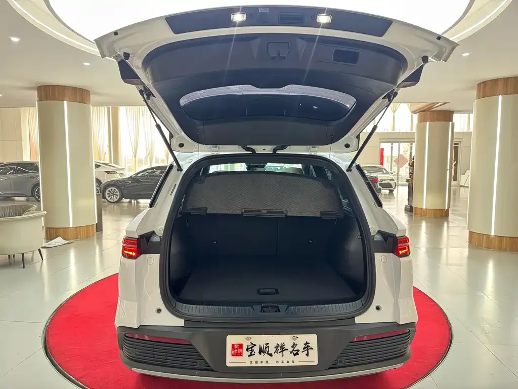 BYD Pro New Energy — фото 7