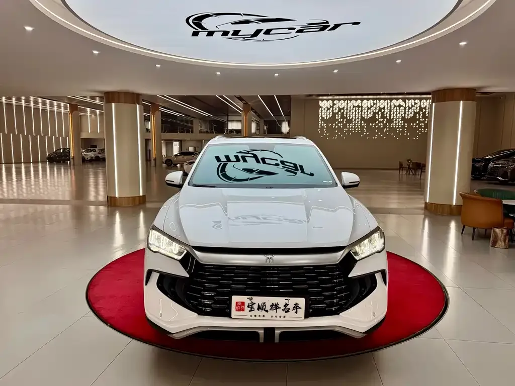 BYD Pro New Energy — фото 6