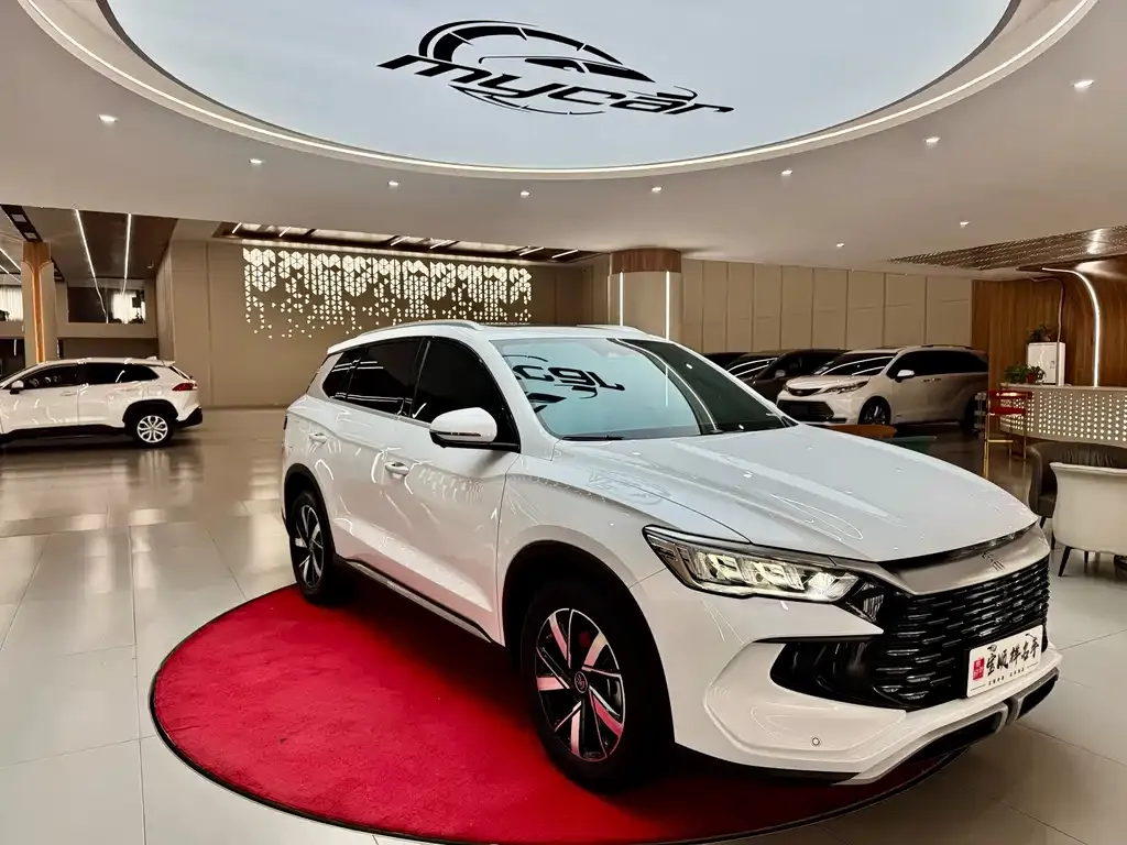 BYD Pro New Energy — фото 9