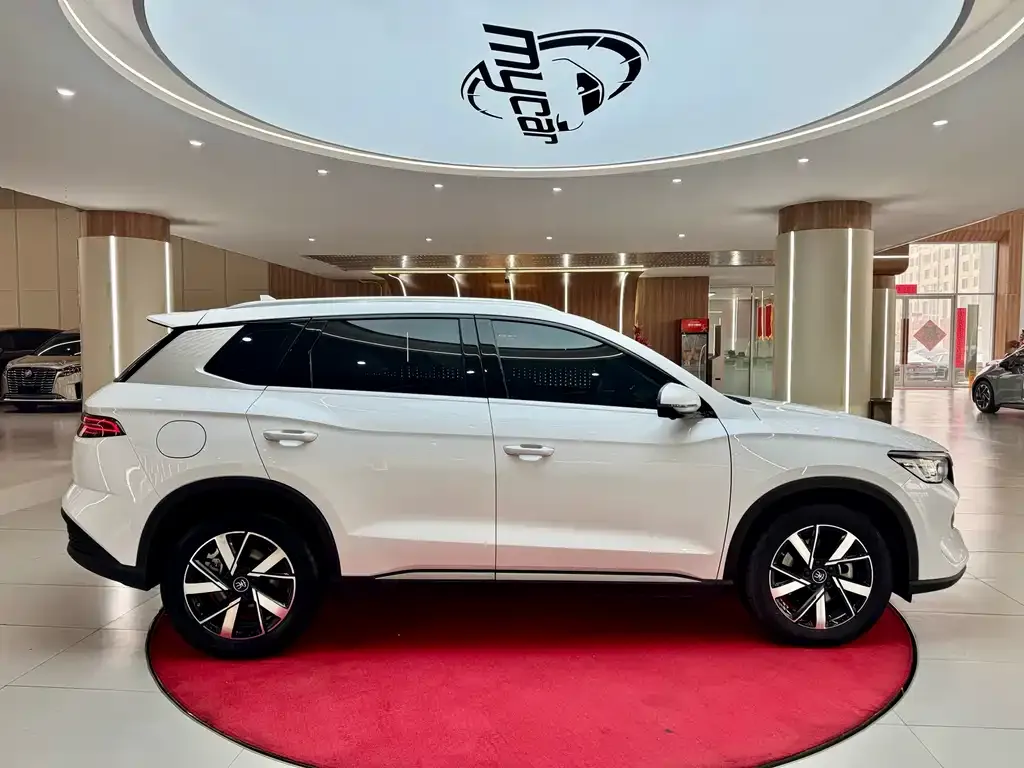 BYD Pro New Energy — фото 2