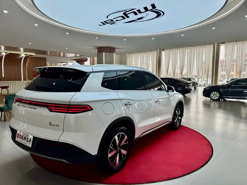 BYD Pro New Energy — фото 8