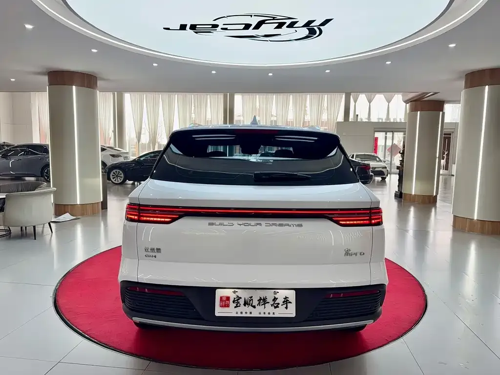 BYD Pro New Energy — фото 4
