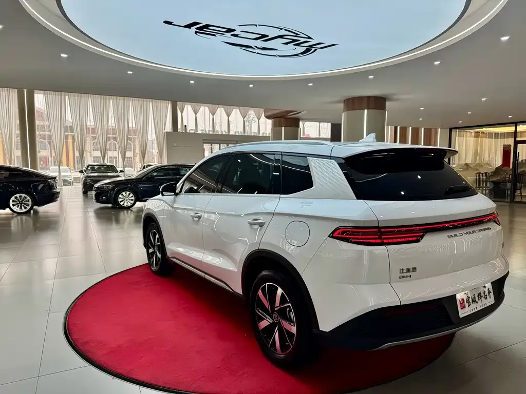 BYD Pro New Energy — фото 3
