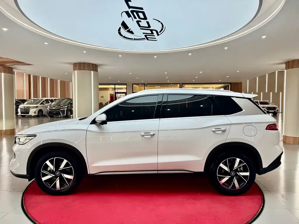 BYD Pro New Energy — фото 5