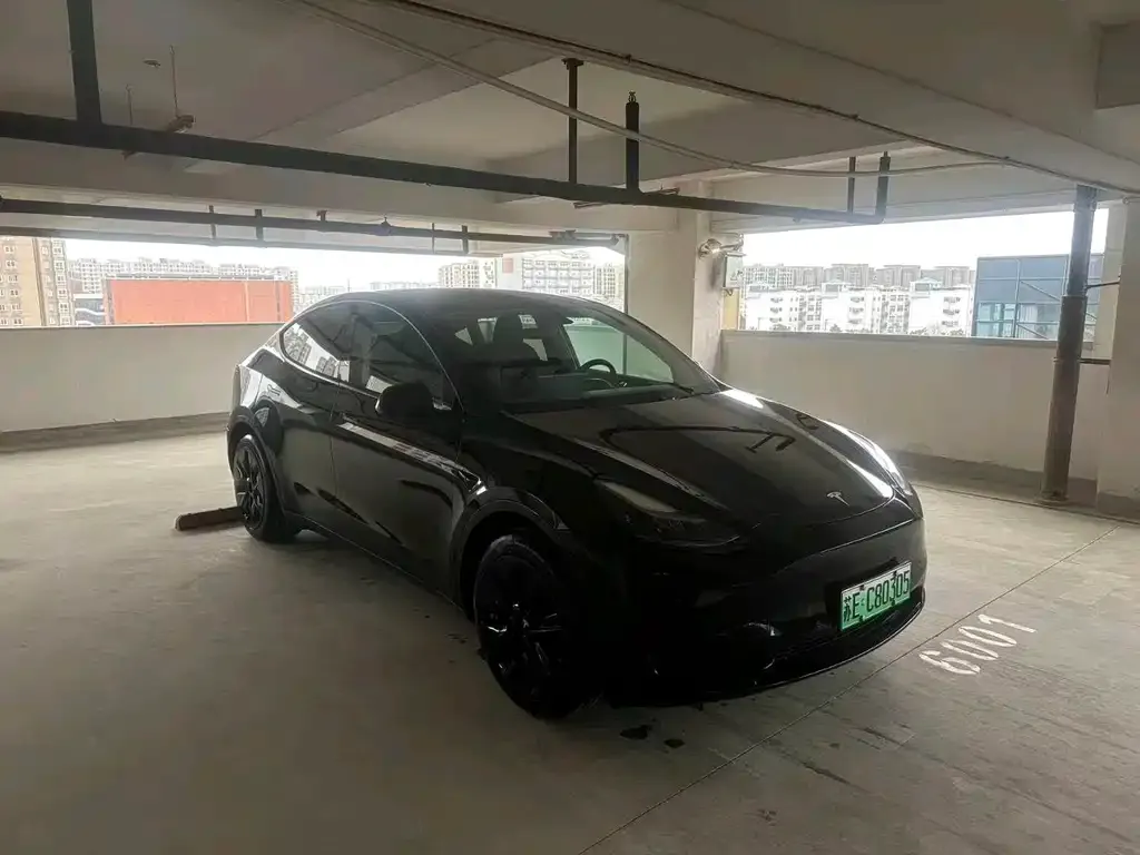 Tesla Model Y 2023 из CN, фото 9